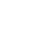Steam