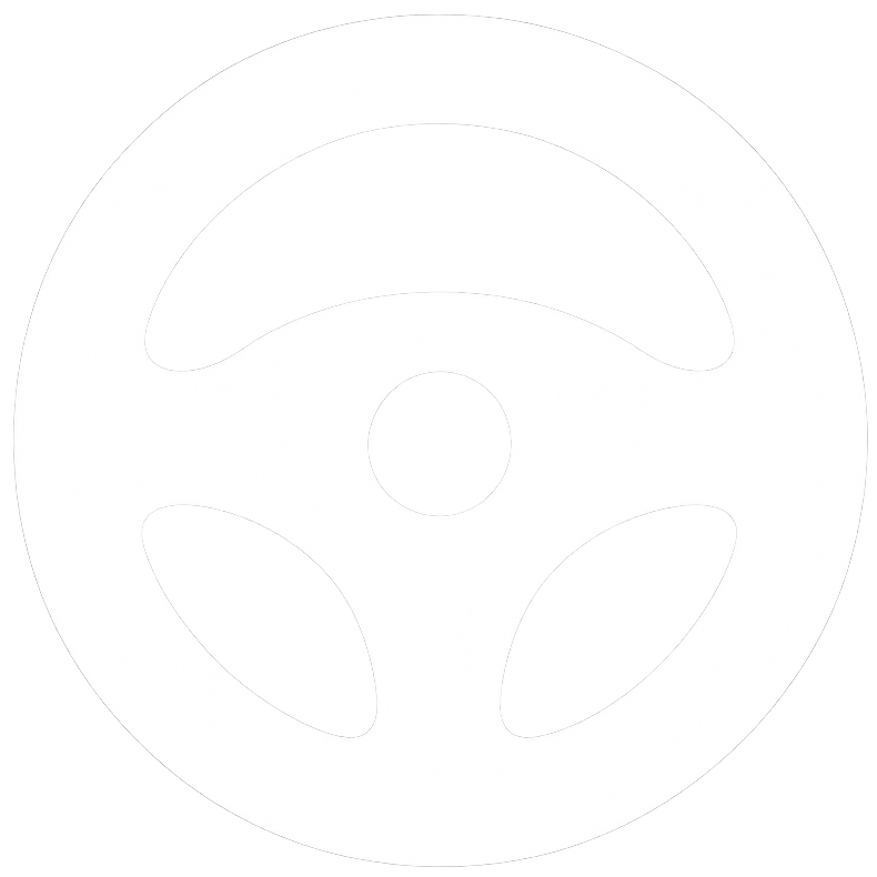 Simulation